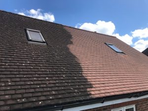 roof-cleaning roof-cleaning